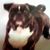 Donna Knowlton's profile image