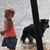 Carol Freund Hoffman's profile image