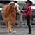 Dolly DaHaflinger's profile image