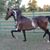 Debbie Paul Lovell's profile image