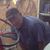 Jeff Kirby's profile image