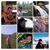 Anna Lenore Irizarry's profile image