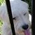 Mary Pat Burton's profile image