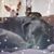 Jen Hartness Taylor's profile image