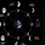 Syeda Wills's profile image