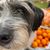 Monica L. Palacios's profile image