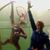 Jennifer Dale Lentz's profile image