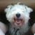 Paul B Banville's profile image