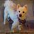 Toby Nichol's profile image