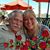 Cheryl Gartner's profile image