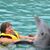 Debbie Searer Callicutt's profile image