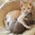 Sue Chipman's profile image