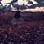 Amber Fontaine's profile image