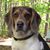 Amy Baker-Jackson's profile image