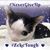 Brenda Heintz's profile image