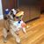Hollie Tiso's profile image