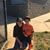 Courtnie Nicole Fulcher's profile image