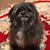 Jayne Sullivan's profile image
