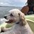 Margaret West VanBulck Smith's profile image