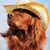Mary Ann Boyle's profile image