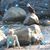 Annette Kunigk McQuilkin's profile image