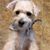 Carol Williams's profile image
