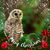 Michele Slane's profile image