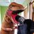 Michael Campbell's profile image