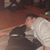 Elliot Vernon's profile image