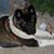 Traci Frei's profile image