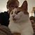 Kate Des Jardin's profile image