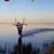 Bryce Sellick's profile image