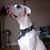 Betty Isis-Bay's profile image