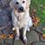 Kim Riley Langenderfer's profile image