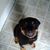 Cheryl Maitz's profile image