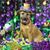 Anthony Binger Bellao's profile image