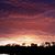 Debra Pickart's profile image