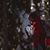 Ricky Nichoalds's profile image