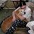 Kristin Kiniry's profile image