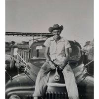 Carol Jeffcoat Davis's profile image