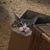 Shirley Zimmerman's profile image