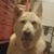 Patricia Evans's profile image