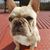 Rebecca Thygesen's profile image