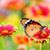 Katie McKinstry Brown's profile image