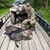 David Bahlinger's profile image