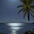 Diana Spohn Engelman's profile image
