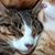 Eileen Marie Nebel Hennighan's profile image