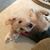 Mary De Chesnay's profile image