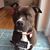 Martha Clarke Dedrick's profile image
