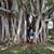 Dorothy Rambo Quandt's profile image